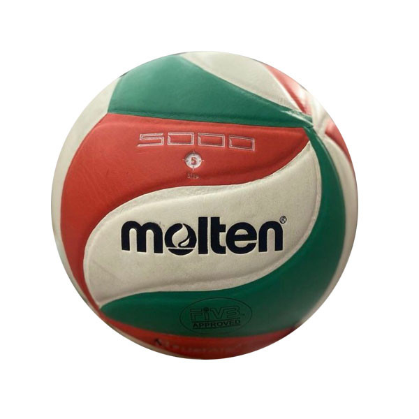 Molten V5M5000 Official Volleyball PU Soft Touch